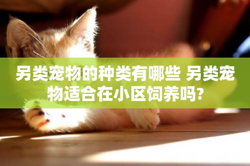 另類寵物的種類有哪些 另類寵物適合在小區飼養嗎?