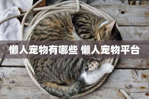 懶人寵物有哪些 懶人寵物平臺