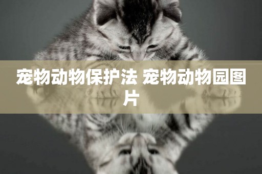 寵物動物保護法 寵物動物園圖片
