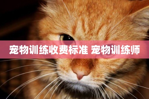 寵物訓練收費標準 寵物訓練師