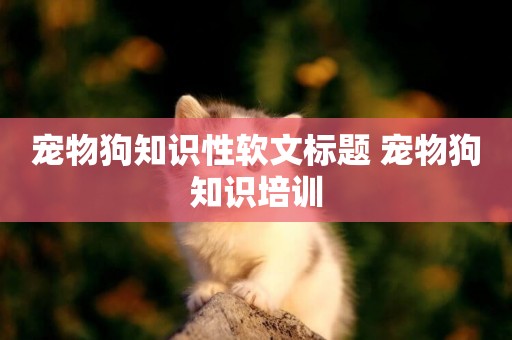 寵物狗知識性軟文標題 寵物狗知識培訓
