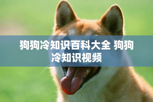狗狗冷知識百科大全 狗狗冷知識視頻
