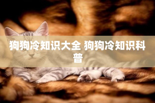 狗狗冷知識大全 狗狗冷知識科普