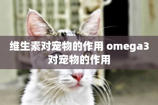 維生素對寵物的作用 omega3對寵物的作用