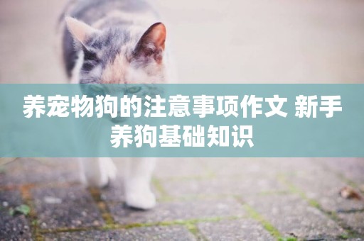 養寵物狗的注意事項作文 新手養狗基礎知識