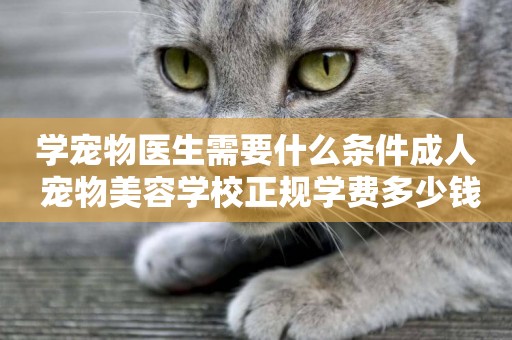 學寵物醫生需要什么條件成人 寵物美容學校正規學費多少錢