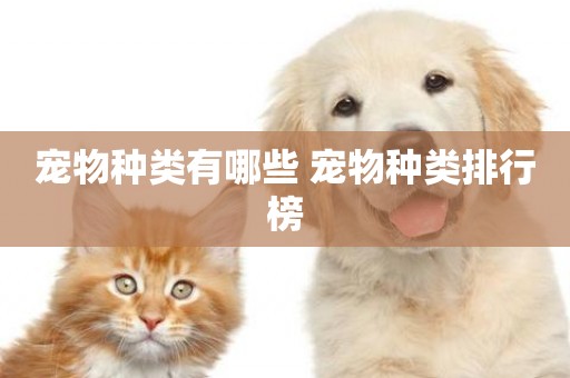 寵物種類有哪些 寵物種類排行榜