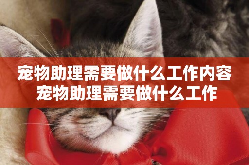寵物助理需要做什么工作內容 寵物助理需要做什么工作