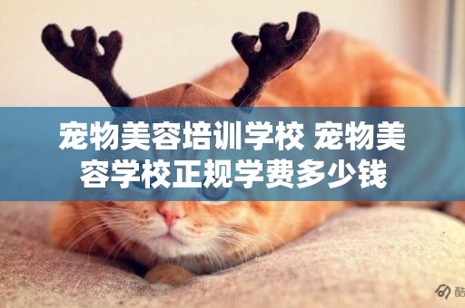 寵物美容培訓學校 寵物美容學校正規學費多少錢