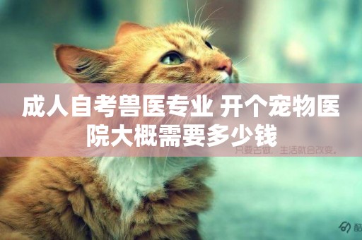 成人自考獸醫專業 開個寵物醫院大概需要多少錢