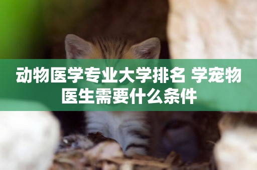 動物醫學專業大學排名 學寵物醫生需要什么條件