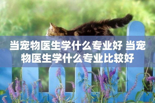 當寵物醫生學什么專業好 當寵物醫生學什么專業比較好