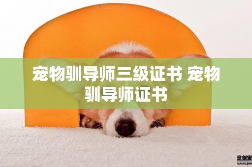 寵物馴導師三級證書 寵物馴導師證書