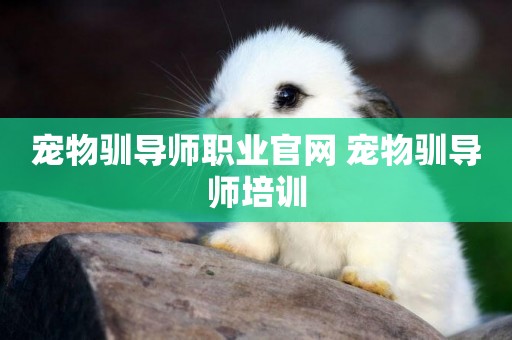 寵物馴導師職業官網 寵物馴導師培訓
