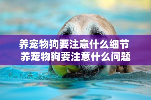 養寵物狗要注意什么細節 養寵物狗要注意什么問題
