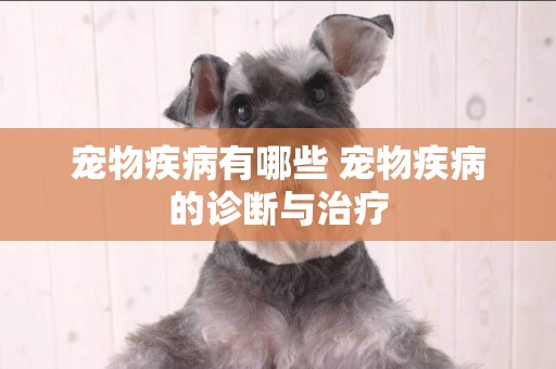 寵物疾病有哪些 寵物疾病的診斷與治療