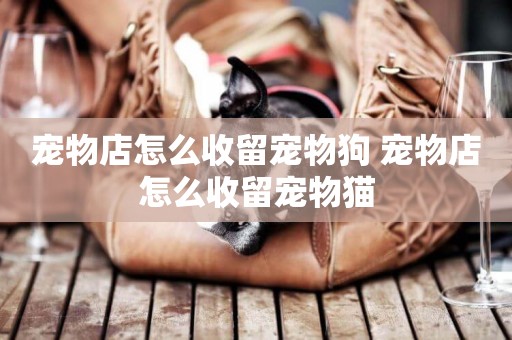 寵物店怎么收留寵物狗 寵物店怎么收留寵物貓