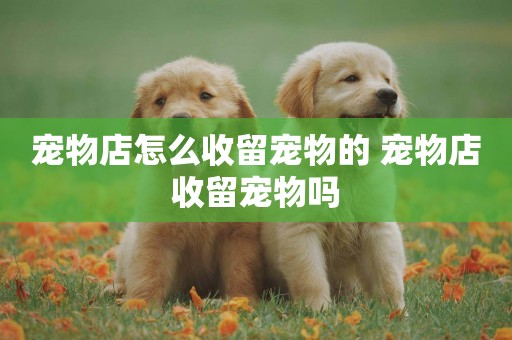 寵物店怎么收留寵物的 寵物店收留寵物嗎