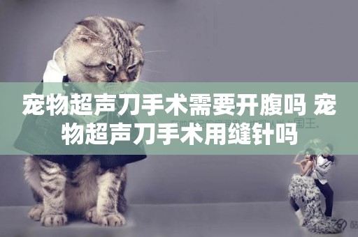 寵物超聲刀手術需要開腹嗎 寵物超聲刀手術用縫針嗎