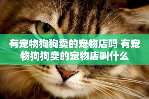 有寵物狗狗賣的寵物店嗎 有寵物狗狗賣的寵物店叫什么