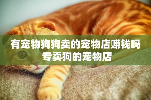 有寵物狗狗賣的寵物店賺錢嗎 專賣狗的寵物店