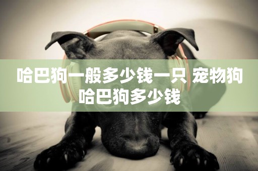 哈巴狗一般多少錢一只 寵物狗哈巴狗多少錢