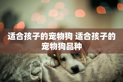 適合孩子的寵物狗 適合孩子的寵物狗品種