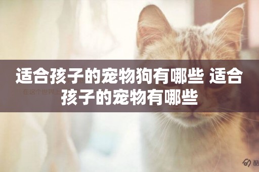 適合孩子的寵物狗有哪些 適合孩子的寵物有哪些