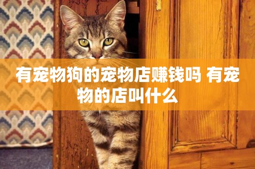有寵物狗的寵物店賺錢嗎 有寵物的店叫什么