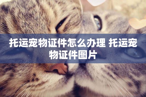 托運寵物證件怎么辦理 托運寵物證件圖片
