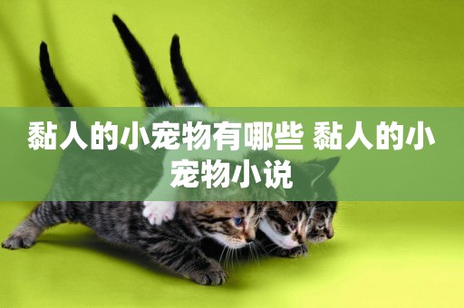 黏人的小寵物有哪些 黏人的小寵物小說