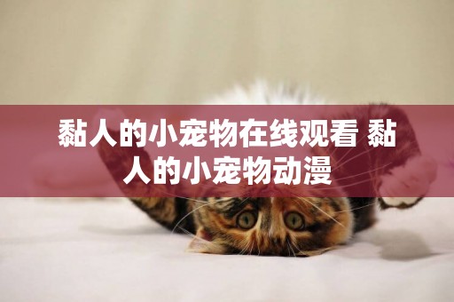 黏人的小寵物在線觀看 黏人的小寵物動漫