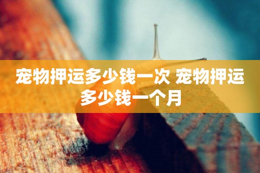 寵物押運多少錢一次 寵物押運多少錢一個月