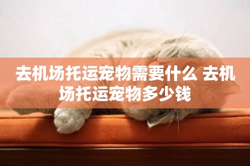 去機場托運寵物需要什么 去機場托運寵物多少錢