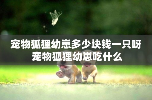 寵物狐貍幼崽多少塊錢一只呀 寵物狐貍幼崽吃什么
