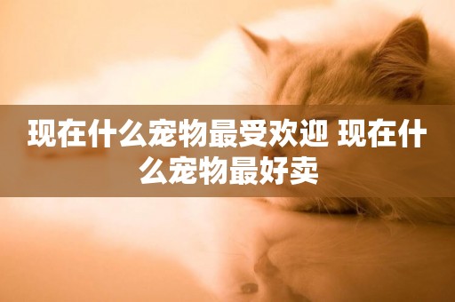 現在什么寵物最受歡迎 現在什么寵物最好賣