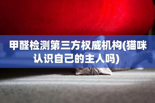 甲醛檢測第三方權威機構(貓咪認識自己的主人嗎) 