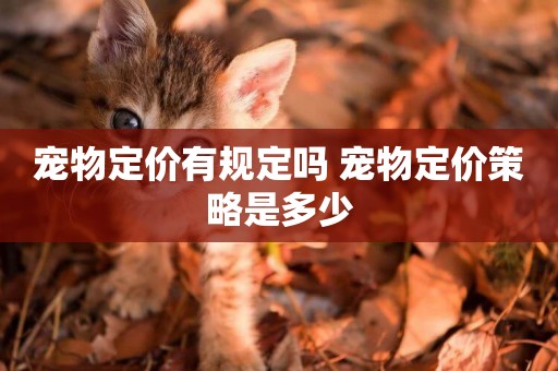 寵物定價有規定嗎 寵物定價策略是多少