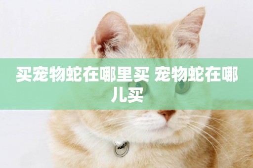 買寵物蛇在哪里買 寵物蛇在哪兒買