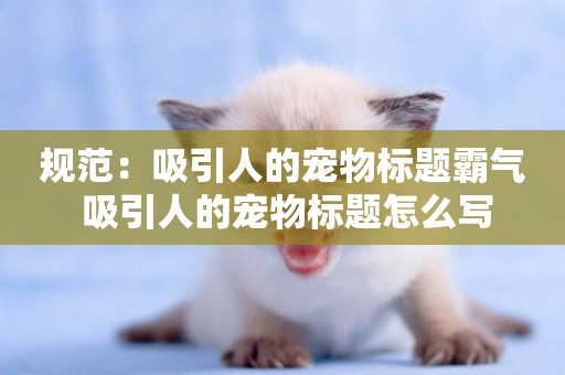 規范：吸引人的寵物標題霸氣 吸引人的寵物標題怎么寫