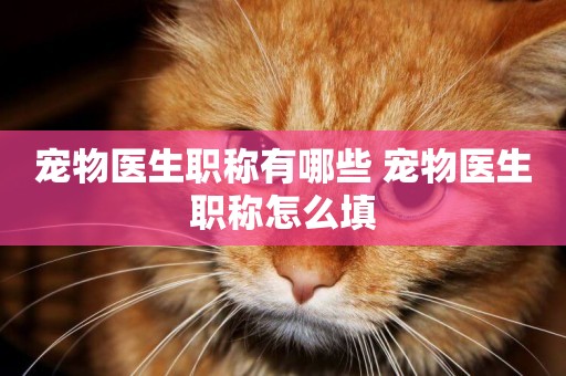 寵物醫生職稱有哪些 寵物醫生職稱怎么填