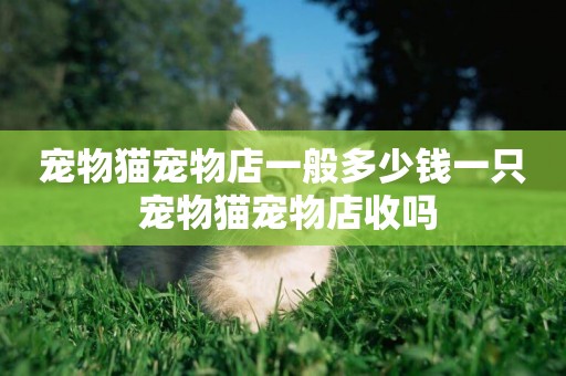 寵物貓寵物店一般多少錢一只 寵物貓寵物店收嗎
