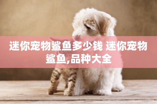 迷你寵物鯊魚多少錢 迷你寵物鯊魚,品種大全