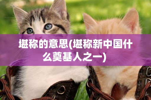 堪稱的意思(堪稱新中國什么奠基人之一) 