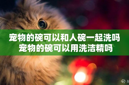 寵物的碗可以和人碗一起洗嗎 寵物的碗可以用洗潔精嗎