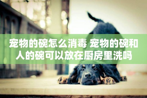 寵物的碗怎么消毒 寵物的碗和人的碗可以放在廚房里洗嗎