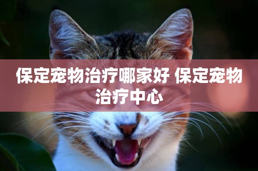 保定寵物治療哪家好 保定寵物治療中心