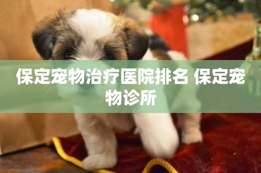 保定寵物治療醫院排名 保定寵物診所