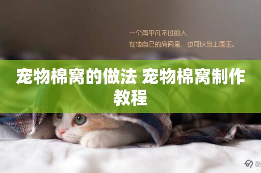寵物棉窩的做法 寵物棉窩制作教程