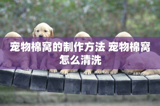 寵物棉窩的制作方法 寵物棉窩怎么清洗